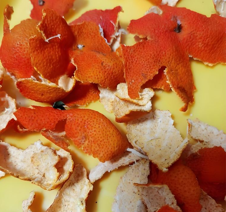 橘子皮活性炭除衣柜霉味 橘子皮活性炭除衣柜霉味