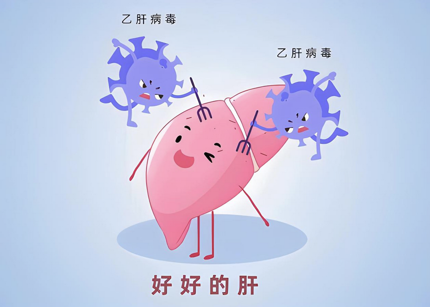 乙肝病毒携带者也不能喝酒